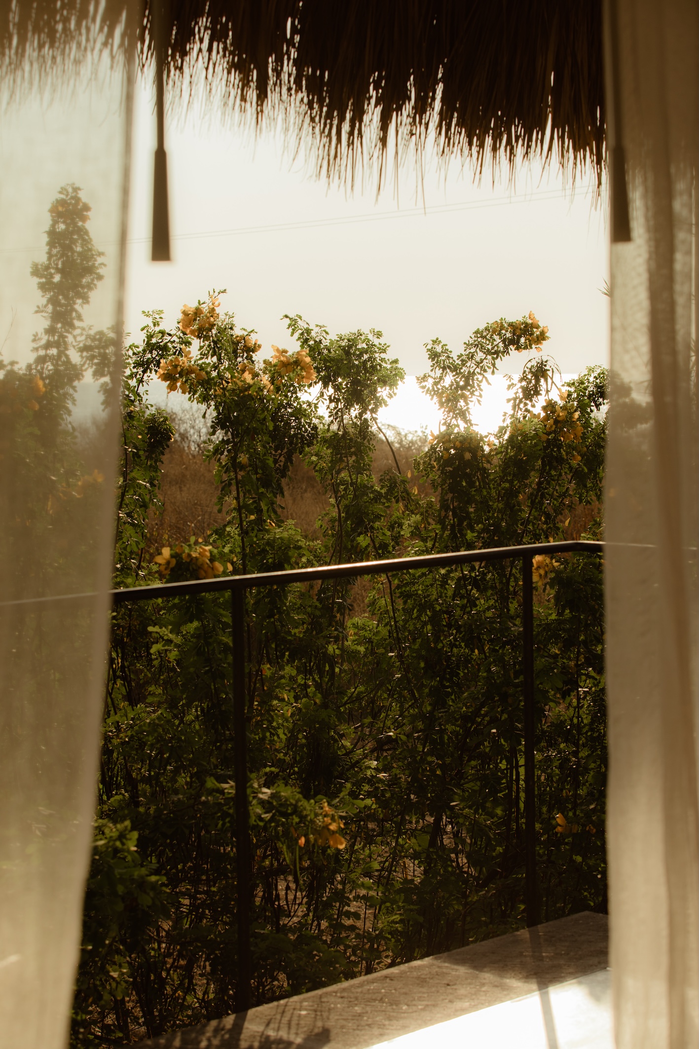 Casa Musa Basecamp Treehouse 4