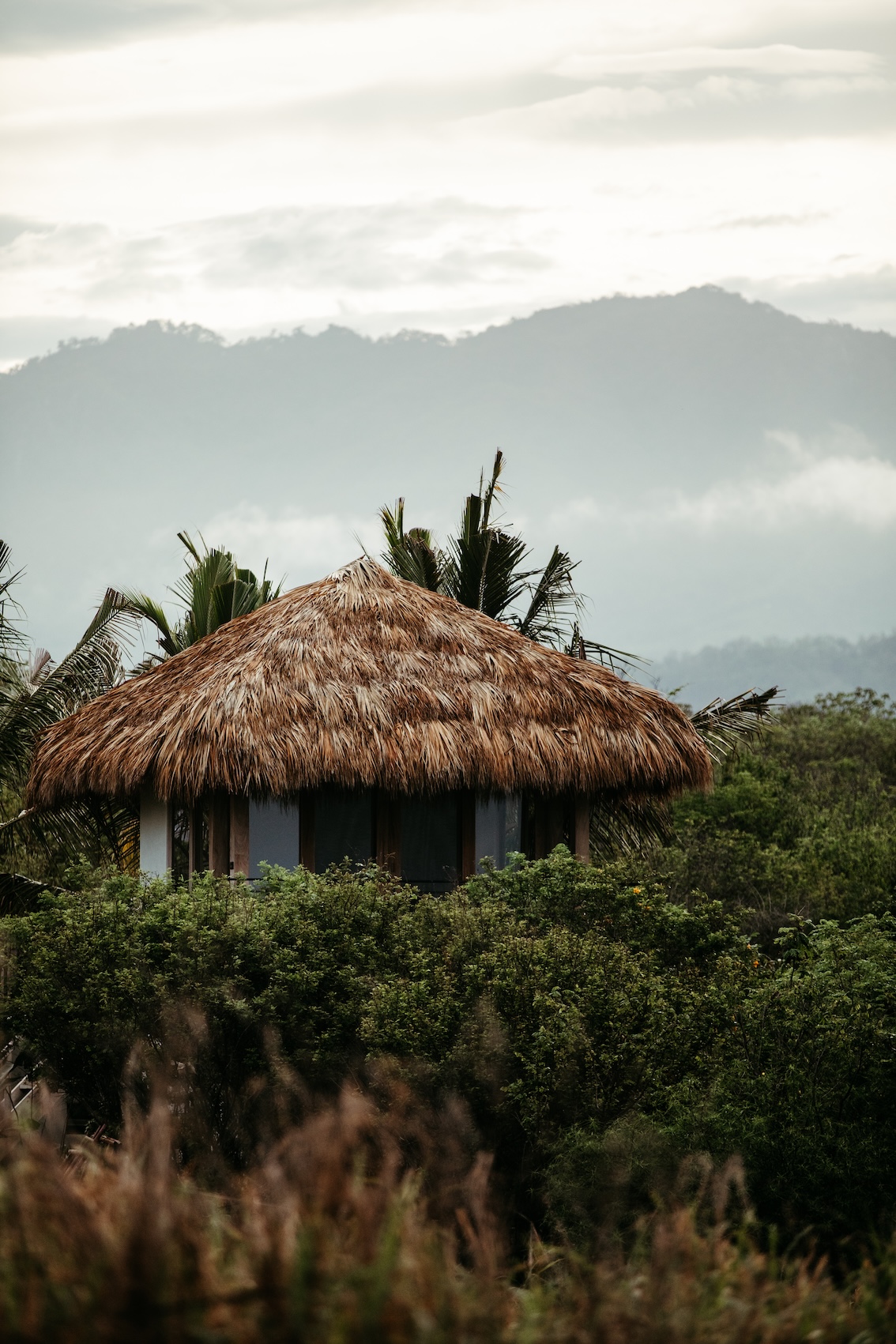 Casa Musa Basecamp Treehouse 6
